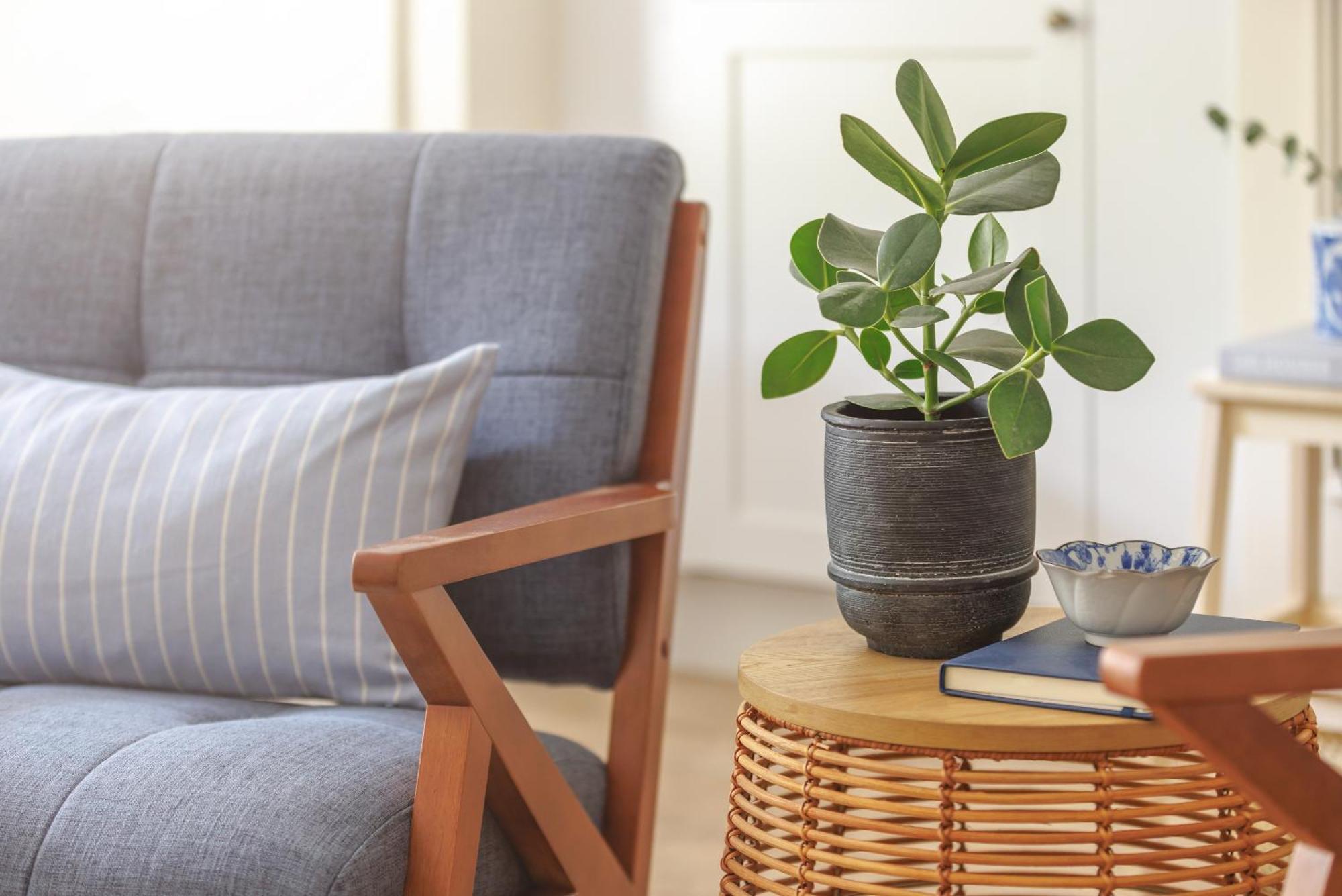 Ocean City Stylish Apartment Plymouth Buitenkant foto